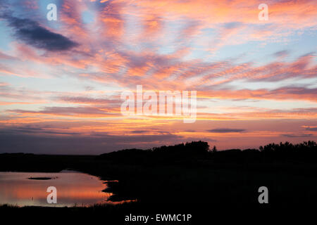 Southport, Merseyside, England. 29. Juni 2015. Ein atemberaubenden Sonnenaufgang über der RSPB Natur behalten "Rimmers Marsch".  Eine wunderbare Balance von Wiese Land & Feuchtgebiete bieten einen perfekten Lebensraum für Holstein-Rinder & Feuchtgebiet Vögel.  Bildnachweis: Cernan Elias/Alamy Live-Nachrichten Stockfoto