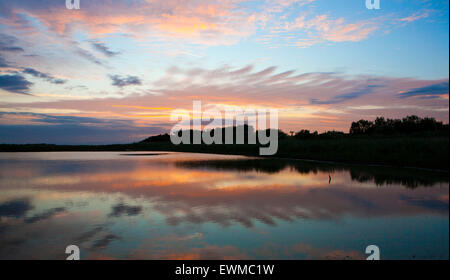 Southport, Merseyside, England. 29. Juni 2015. Ein atemberaubenden Sonnenaufgang über der RSPB Natur behalten "Rimmers Marsch".  Eine wunderbare Balance von Wiese Land & Feuchtgebiete bieten einen perfekten Lebensraum für Holstein-Rinder & Feuchtgebiet Vögel.  Bildnachweis: Cernan Elias/Alamy Live-Nachrichten Stockfoto