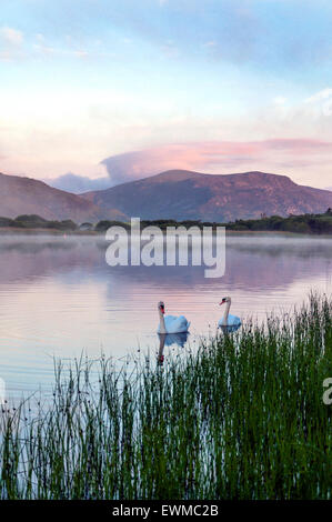 Morgendämmerung über See Shanaghan, Ardara, County Donegal, Irland Stockfoto