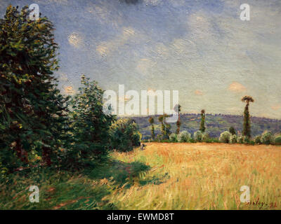 Alfred Sisley (1839-1899). Französischer Maler. Sahurs Wiesen in Morgensonne, 1894. Öl auf Leinwand. Metropolitan Museum of Art. NY. Stockfoto