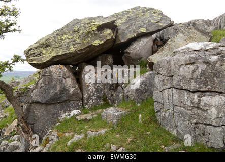 Bei Findlinge eiszeitliche Ablagerungen, Austwick, Yorkshire Dales National Park, England, UK Stockfoto