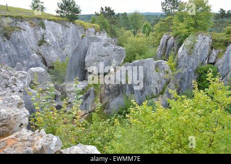 Die Fondry des Chiens (Gruben der Hunde) seltsame geologische Ort mit engen Verbindungen zur Karst Entwicklung Belgien Stockfoto