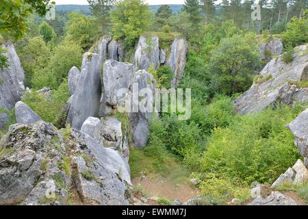 Die Fondry des Chiens (Gruben der Hunde) seltsame geologische Ort mit engen Verbindungen zur Karst Entwicklung Belgien Stockfoto