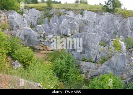 Die Fondry des Chiens (Gruben der Hunde) seltsame geologische Ort mit engen Verbindungen zur Karst Entwicklung Belgien Stockfoto