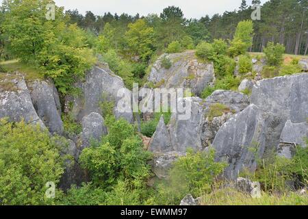 Die Fondry des Chiens (Gruben der Hunde) seltsame geologische Ort mit engen Verbindungen zur Karst Entwicklung Belgien Stockfoto