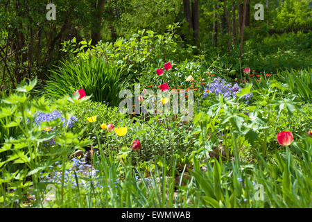 Bett in einem Garten mit schönen flowers.soft Fokus Stockfoto