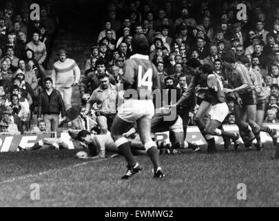 Australien 28-9 Wales, australische 1984 Rugby-union-Tour von Großbritannien und Irland, passen 12, Cardiff Arms Park, Cardiff, 24. November 1984. Tom Lawton geht über die Welsh-Linie, der ersten Versuch für Australien Punkten. Stockfoto