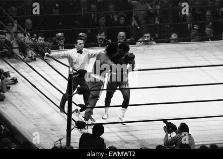 Muhammad Ali und Joe Frazier Kampf um die World Heavyweight Championship im Madison Square Garden New York City. 8. März 1971 Stockfoto