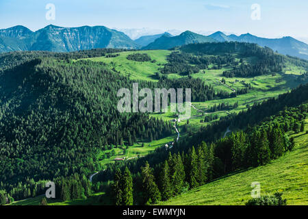 Almwiesen Alm gesehen vom Zwölferhorn Berg, in der Nähe von St. Gilgen, Salzkammergut, Österreich Stockfoto