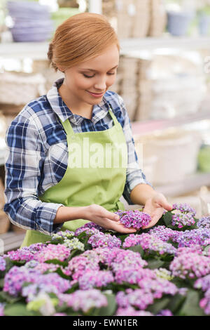 glückliche Frau kümmert sich um Blumen im Gewächshaus Stockfoto