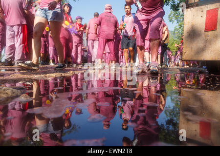 Pfützen gibt es überall Wein. Schlacht von Weinfest. Haro. La Rioja. Spanien Stockfoto