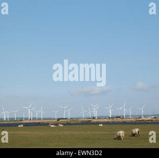 Eine onshore-Windpark auf Romney Sumpf auf der Küste von Kent, Süd-Ost-England. Schafe weiden im Vordergrund Stockfoto