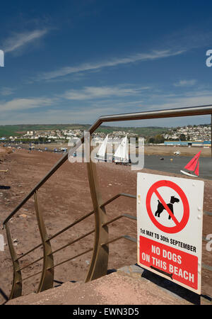 "Keine Hunde an diesem Strand" Zeichen. Stockfoto