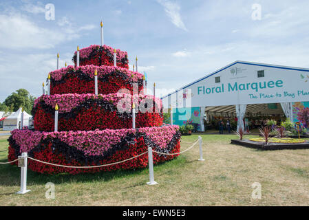 Hampton Court Palace, Surrey, UK. 29. Juni 2015. zeigen Sie 25. Lebensjahr der RHS Hampton Court Palace Flower Show, die weltweit größte Blume mit thematischen Veranstaltungen anlässlich des Jahrestages. Bildnachweis: Malcolm Park Leitartikel/Alamy Live-Nachrichten Stockfoto