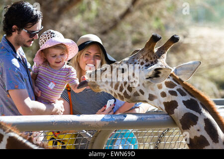 The Living Desert Zoo, Palm Desert, Kalifornien - Februar 05: Touristische Familie Handanlage eine Giraffe in den Zoo, Februar 05 201 Stockfoto