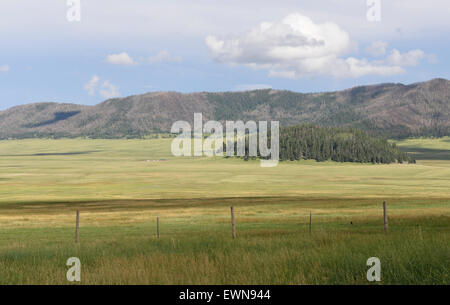 Jemez Caldera-New-Mexico-USA Stockfoto