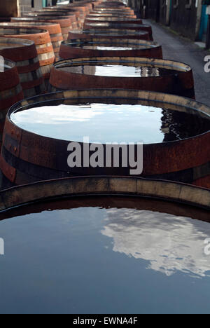 Regenwasser und Spiegelung des Himmels auf Whisky Fässern in Brennerei Schottland UK Europe Stockfoto