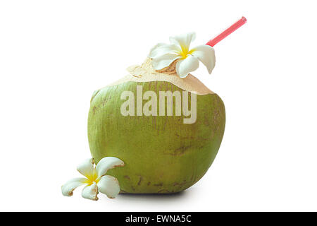Kokosnuss Wasser trinken mit Plumeria Blume Stockfoto