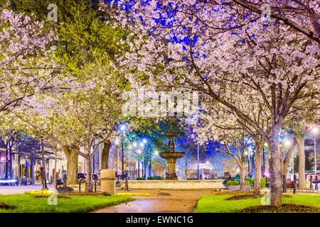 Macon, Georgia, USA Innenstadt Frühling mit Kirschblüten. Stockfoto