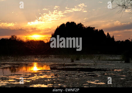 See (Resaca) Sonnenuntergang am Camp Lula Sams - Brownsville, Texas USA Stockfoto