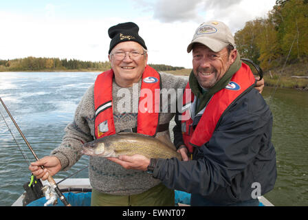 Zander Angeln auf dem saskatchwan River im Norden von Alberta, Kanada. Stockfoto