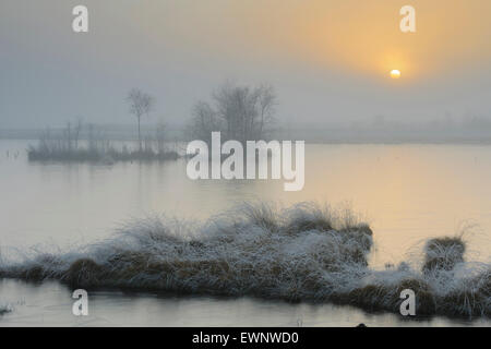 Goldenstedter moor im Winter, Niedersachsen, Niedersachsen, Deutschland Stockfoto