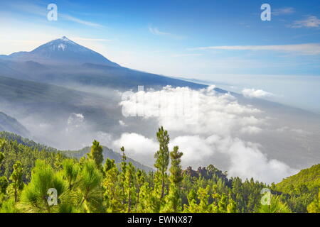 Teneriffa - Blick auf Teide Vulkan Mount, Kanarische Inseln, Spanien Stockfoto