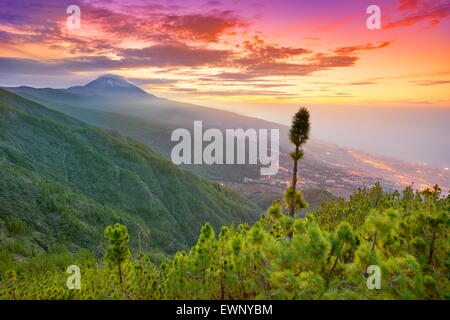 Auf der Insel Teneriffa Landschaft - Teide auf Sonnenuntergangszeit, Kanarische Inseln, Spanien Stockfoto