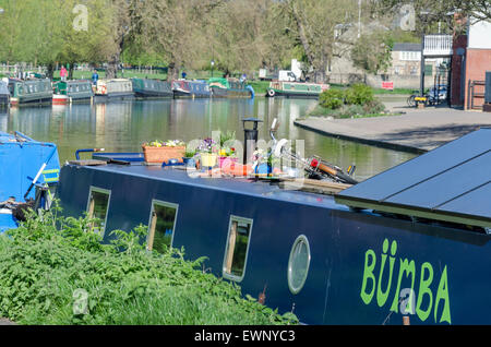 Topfpflanzen und ein Fahrrad auf einem engen Boot auf dem Fluss Cam, Cambridge, UK Stockfoto