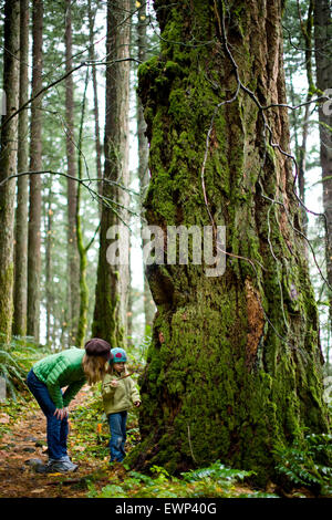 Mutter und Tochter auf einer Wanderung in einem gemäßigten Regenwald Stockfoto