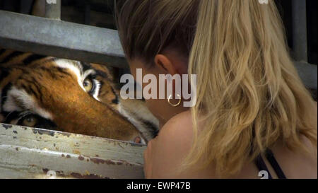 Wilde Frauen - sanfte Tiere in einem Schweizer film b der Direktor von Anka Schmid.  Dieses Foto ist nur zu redaktionellen Zwecken und unterliegen dem Copyright von der Filmgesellschaft und/oder der Fotograf von dem Film oder der Firma zugeordnet und kann nur durch Veröffentlichungen im Zusammenhang mit der Förderung der oben genannten Film reproduziert werden. Eine obligatorische Gutschrift auf die Filmgesellschaft ist erforderlich. Der Fotograf sollte auch angerechnet werden, wenn bekannt. Stockfoto