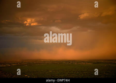 A haboob moves across the desert during a monsoon storm at sunset near Safford, Arizona, USA. Stockfoto