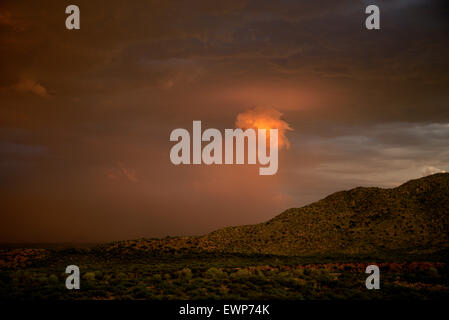A haboob moves across the desert during a monsoon storm at sunset near Safford, Arizona, USA. Stockfoto