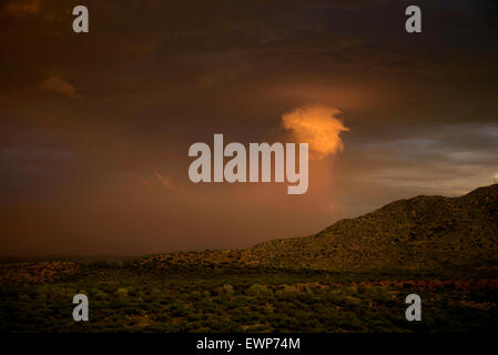 Ein Habub bewegt sich quer durch die Wüste während eines Sturms Monsun bei Sonnenuntergang in der Nähe von Safford, Arizona, USA. Stockfoto