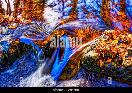 Wasser fließt zwischen Steinen, reflektiert einen blauen Himmel und kontrastieren mit goldener Herbst Blätter Stockfoto