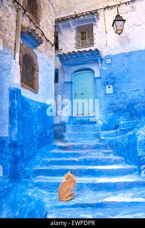 Chefchaouen (Chaouen). Ist bekannt für seine Gebäude in Blautönen. Marokko Stockfoto