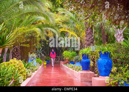 Jardin Majorelle Garten, Marrakesch, Marokko, Afrika Stockfoto