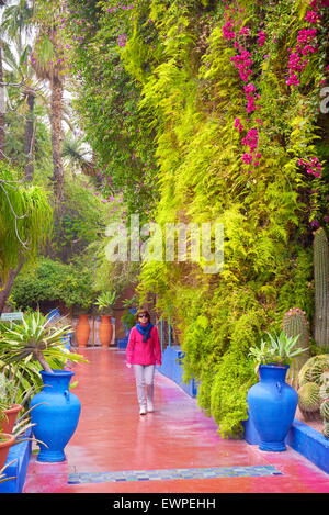 Jardin Majorelle Garten, Marrakesch, Marokko, Afrika Stockfoto