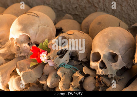 Schädel in Fontanelle Friedhof, Sanità Viertel von Neapel Stockfoto