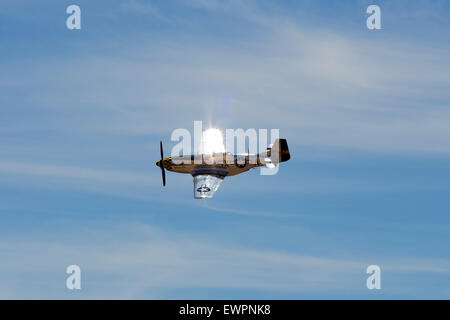 P - 51D Mustang "Kimberly Kaye" Stockfoto