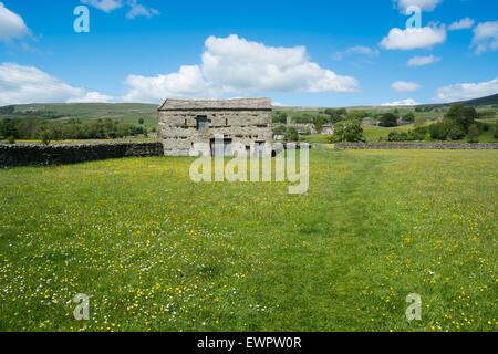 Scheune in der Nähe von Askrigg in Wensleydale Stockfoto