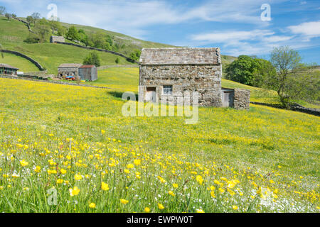 Scheune in Muker Wiese im Swaledale in Yorkshire Dales Stockfoto