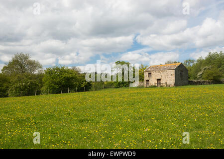 Stein-Scheune in einer Sommerwiese Stockfoto