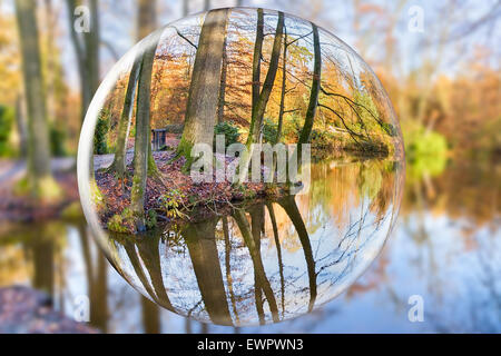 Glaskugel reflektiert Herbstwald mit Baumstämmen und Teich Stockfoto