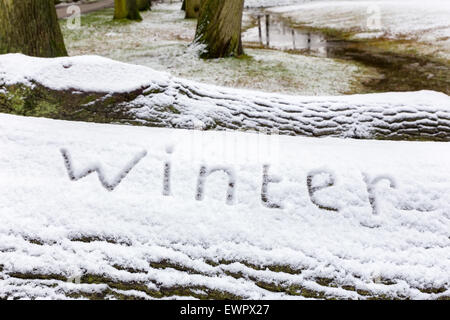 Wort-Winter im Schnee auf Eiche Baumstamm geschrieben, während der Wintersaison Stockfoto