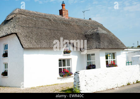 Irland, County Wexford, Kilmore Quay house Stockfoto