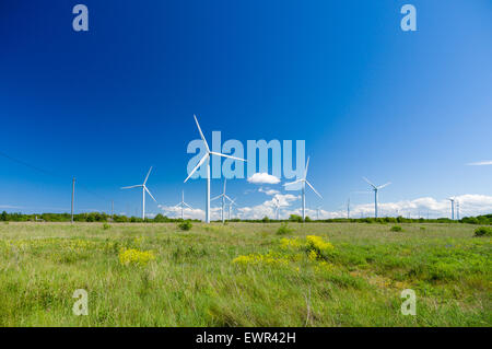 Grüne Wiese mit Windkraftanlagen zur Stromerzeugung Stockfoto