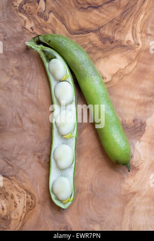 Vicia Faba. Dicke Bohnen auf einem Holzbrett. Stockfoto