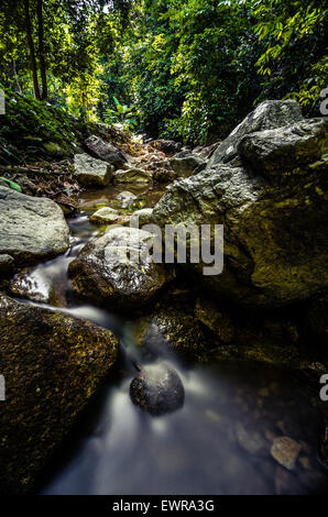 Kleiner Fluss in Penang Botanischen Garten. Der Garten ist ein idealer Ort für Übung mit grüner Umgebung. Stockfoto