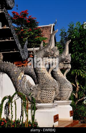 Chiang Mai, Thailand: Steinerne Naga Fabelwesen flankieren den Eingang zu den Vihan im Wat Chedi Luang Stockfoto
